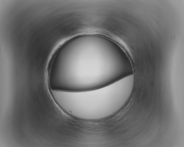 X0000111671472200907171434