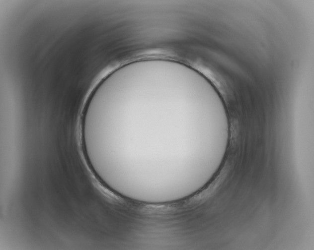 X0000111671474200907171434