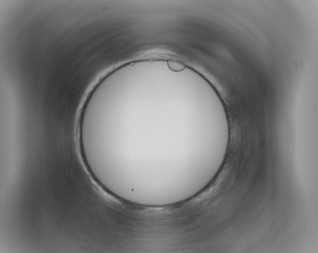 X0000111671478200907171434