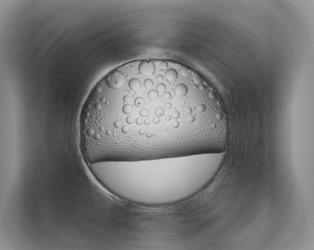 X0000111671479200907171434