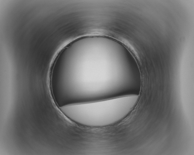 X0000111671480200907171434