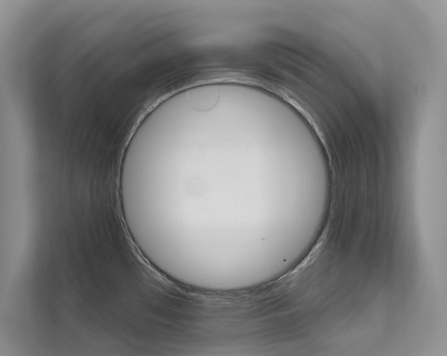 X0000111671481200907171434