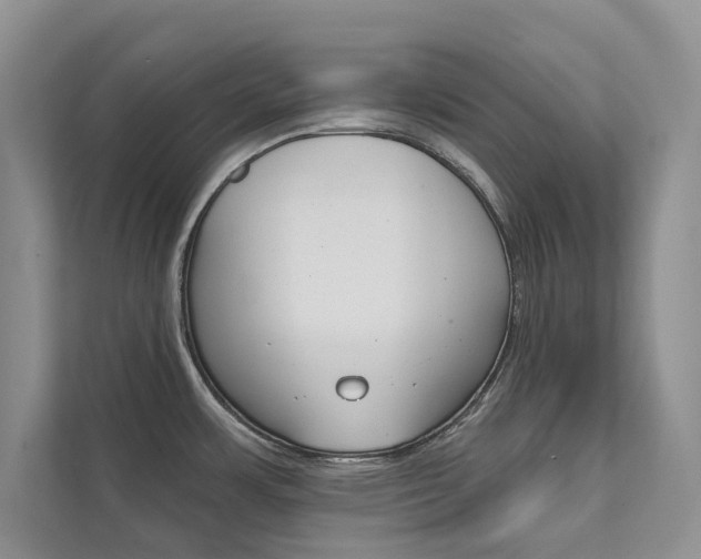 X0000111671483200907171434