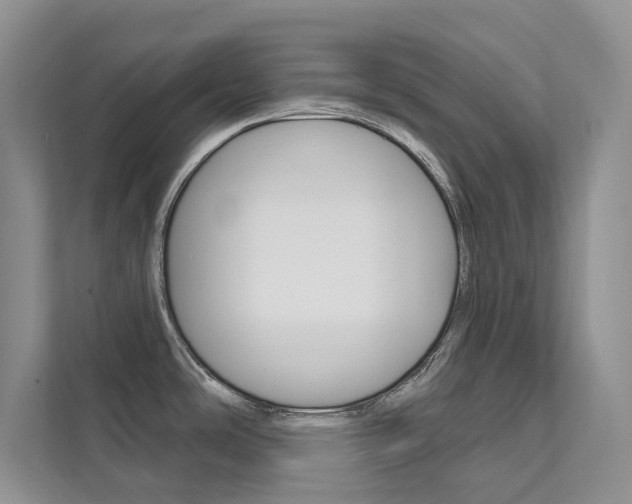 X0000111671486200907171434