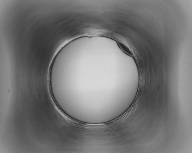 X0000111671487200907171434