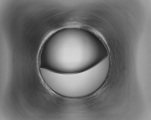 X0000111671488200907171434