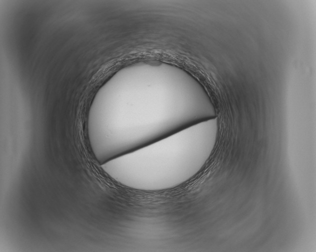 X0000111671489200907171433