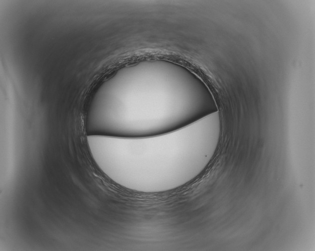 X0000111671492200907171433
