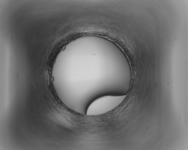 X0000111671493200907171433