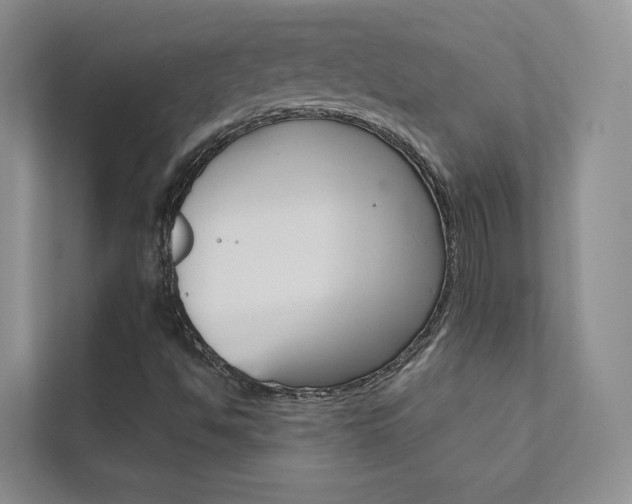X0000111671494200907171433