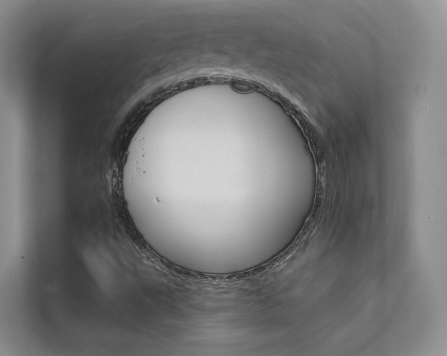 X0000111671495200907171433