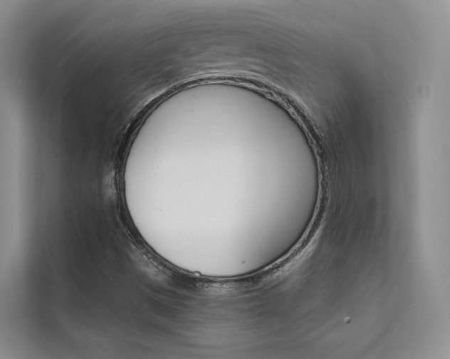 X0000111671497200907171433