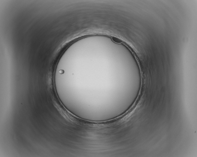 X0000111671499200907171433