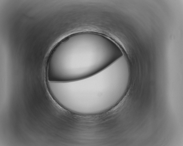 X0000111671500200907171433