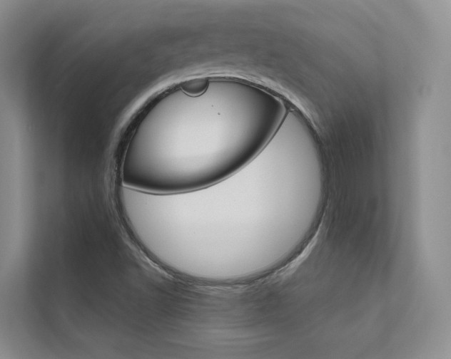 X0000111671502200907171433