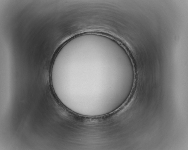 X0000111671505200907171433
