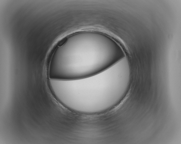 X0000111671506200907171433
