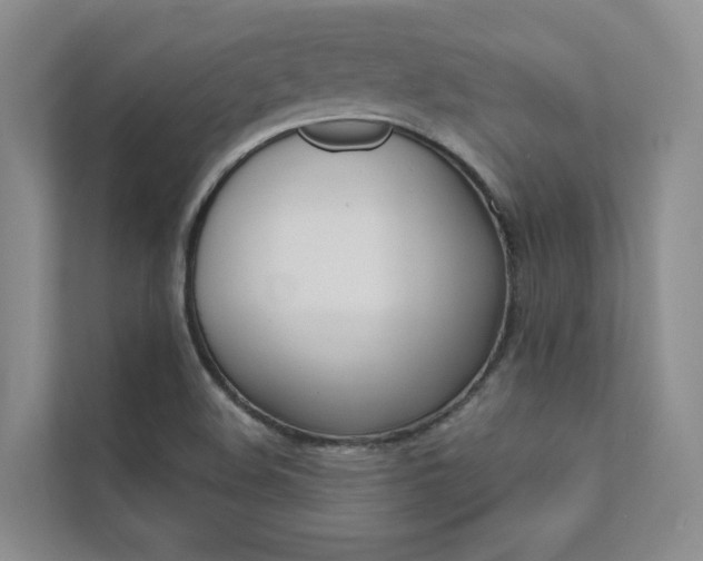 X0000111671508200907171433