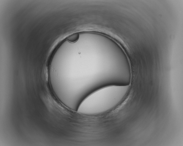X0000111671509200907171433