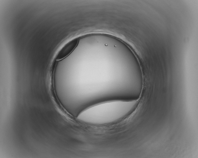 X0000111671511200907171434
