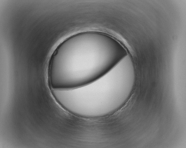 X0000111671512200907171434