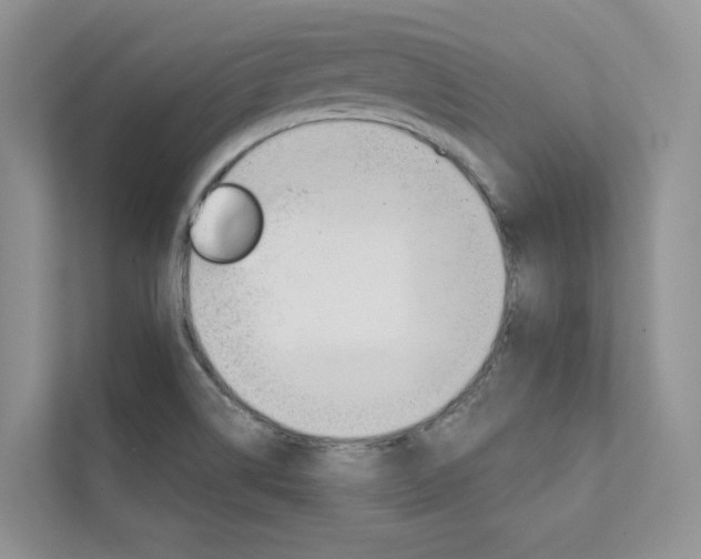 X0000111671514200907171434