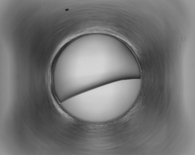 X0000111671515200907171434