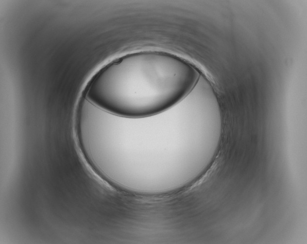 X0000111671518200907171434