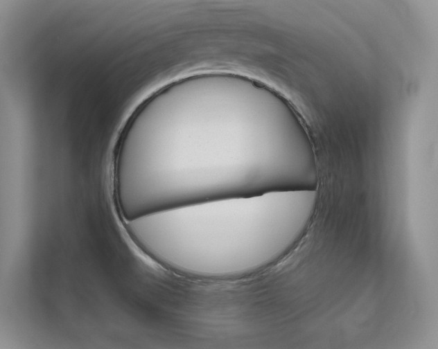 X0000111671519200907171434