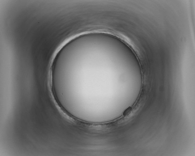 X0000111671520200907171434