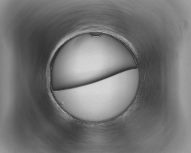 X0000111671522200907171434