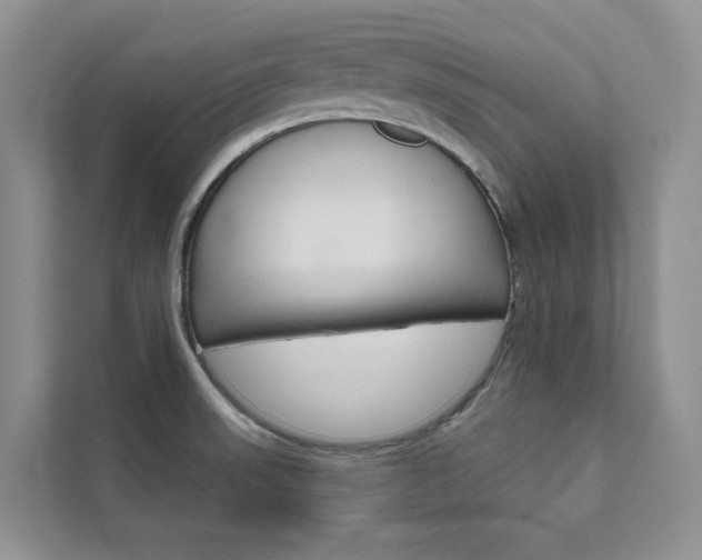 X0000111671523200907171434