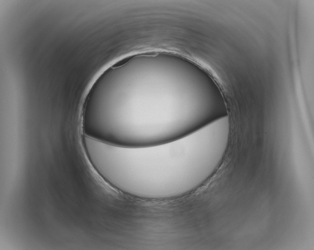 X0000111671524200907171434