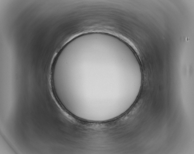 X0000111671525200907171434
