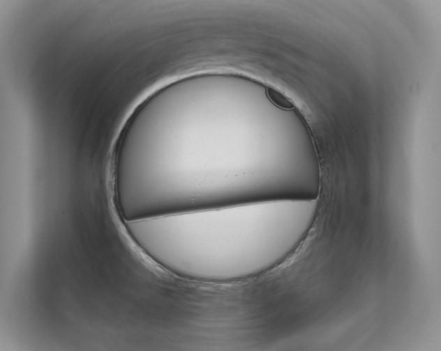 X0000111671526200907171434
