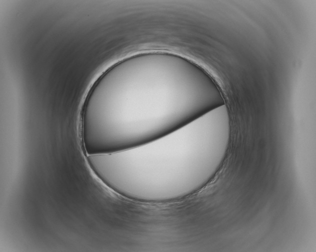 X0000111671527200907171434
