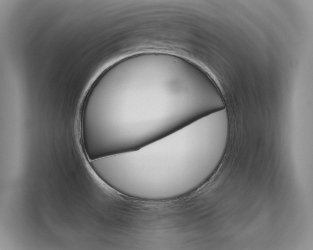 X0000111671531200907171434