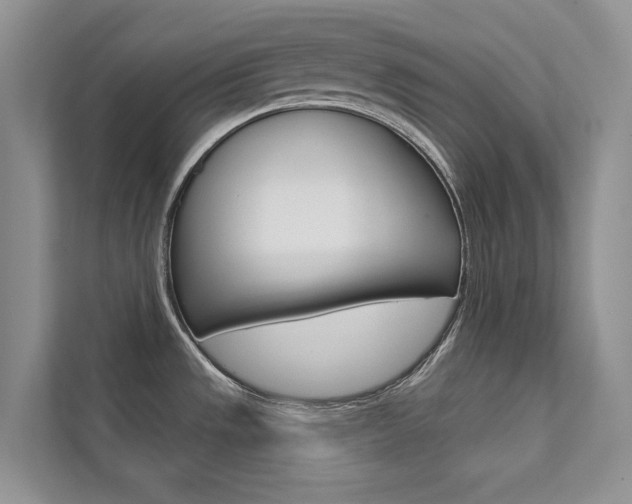 X0000111671533200907171434