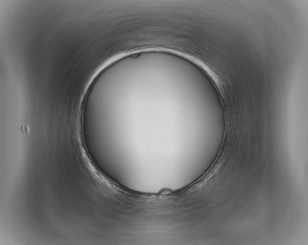 X0000111671534200907171434