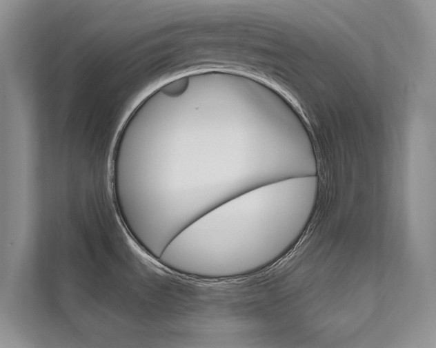 X0000111671535200907171434