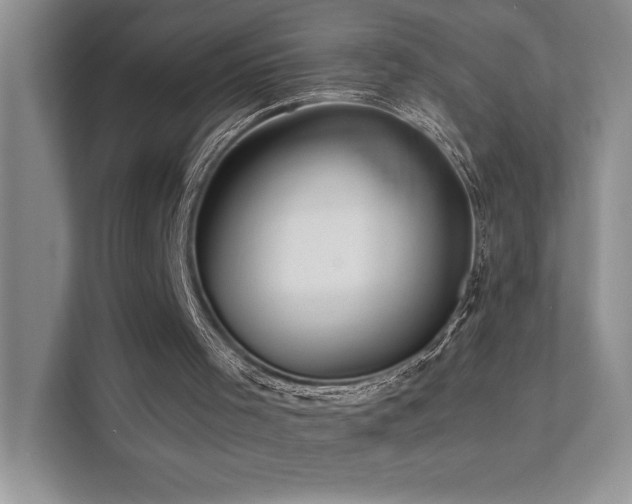 X0000111670001200907171623