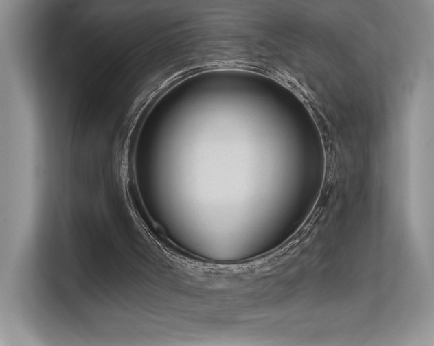 X0000111670002200907171623