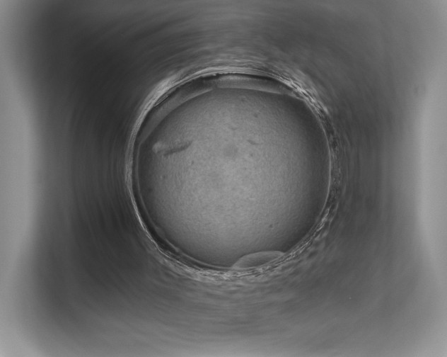 X0000111670003200907171623