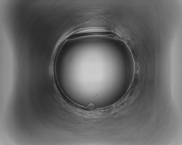 X0000111670004200907171623