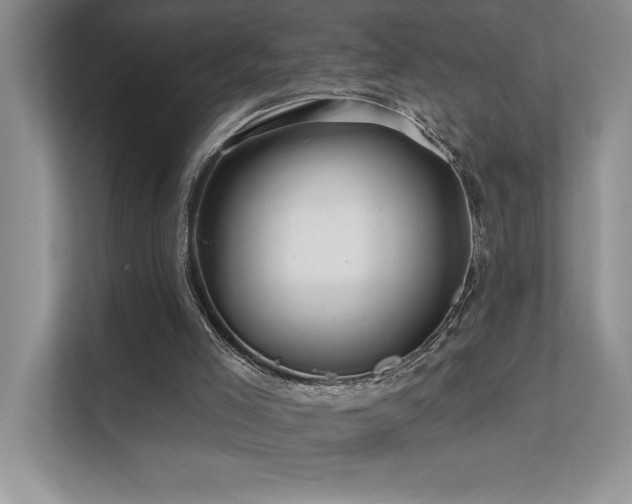 X0000111670005200907171623