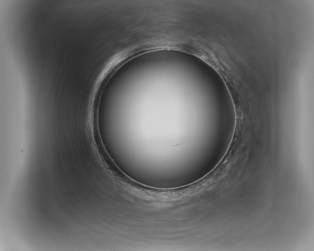 X0000111670006200907171623