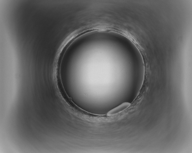 X0000111670007200907171623