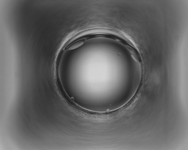 X0000111670008200907171623