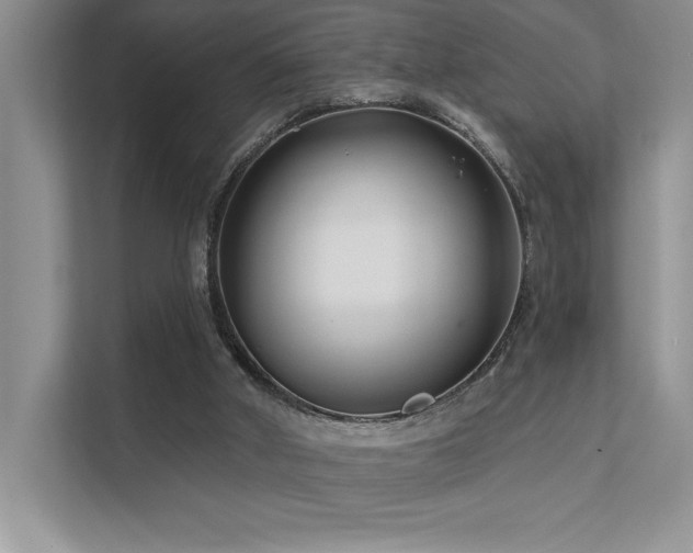 X0000111670010200907171623