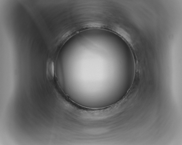 X0000111670013200907171623